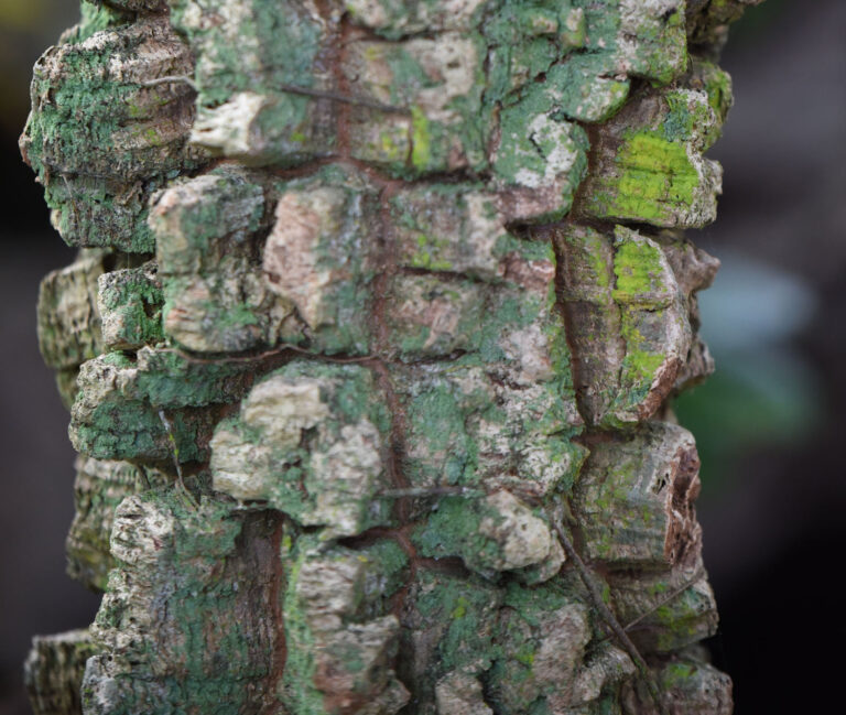 deepan trading pty ltd 768x649