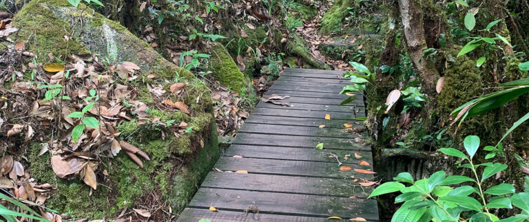 dinesh auto parts pty ltd 768x323