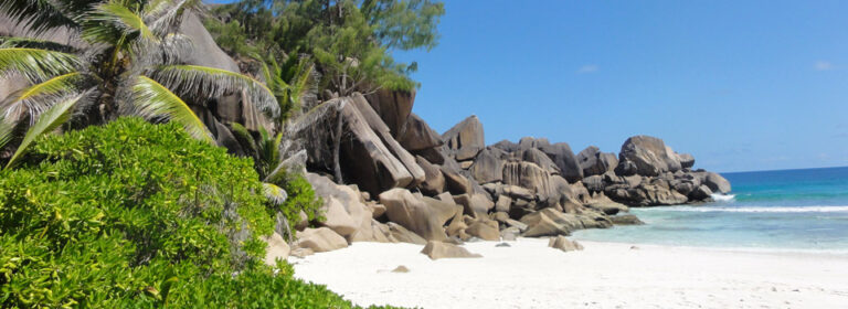 divers lodge guest house 768x280