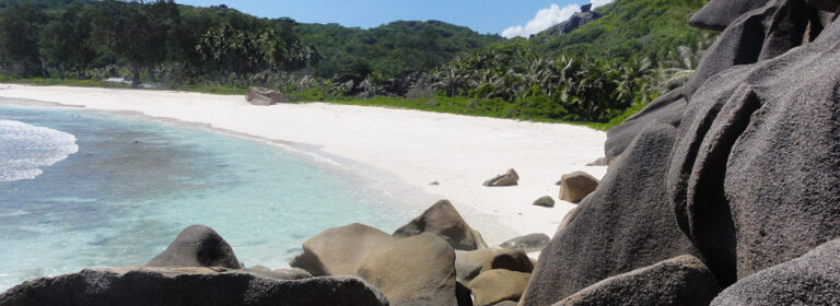 diy seychelles limited 768x280