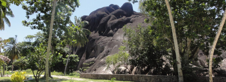 dolphin cars pty ltd 768x280