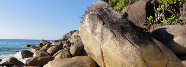 domaine desaubin 768x280