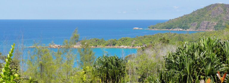 dr chois chiropractic clinic centre 768x280