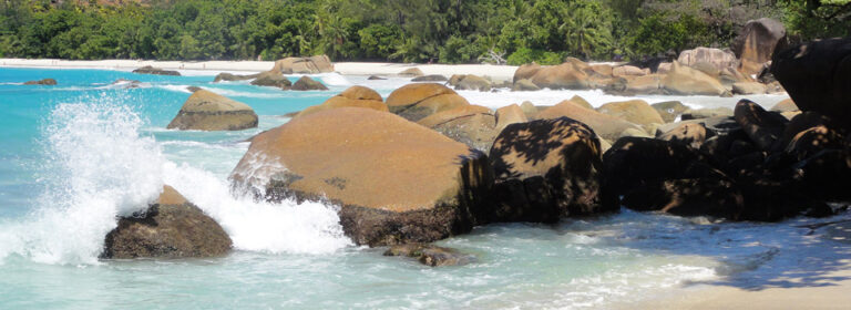 dr haresh jivans project 768x280