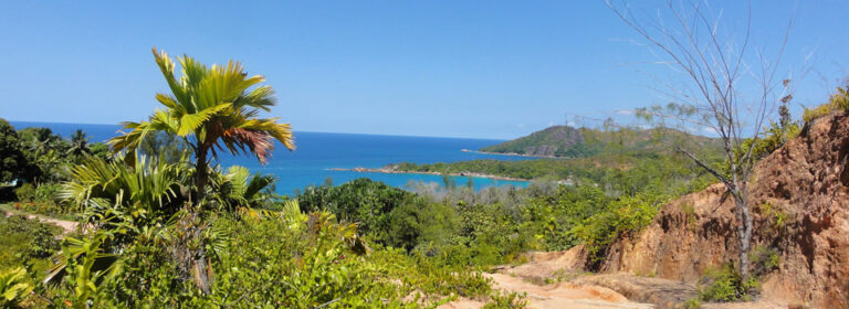 dr v seth clinic 768x280