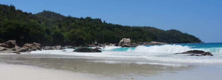 dream light studio seychelles 768x280