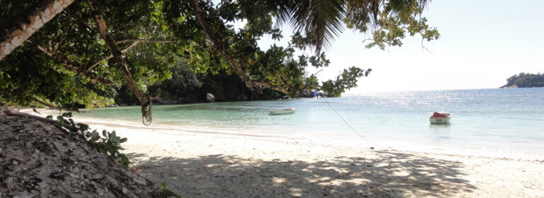 dusk to dawn 768x280