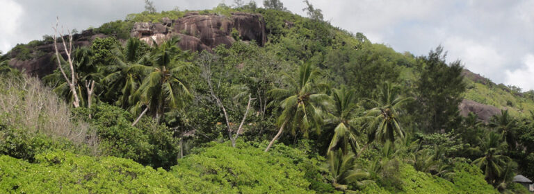 e garage seychelles 768x280