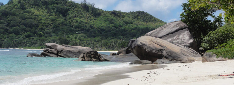 earth development proprietary limited 768x280