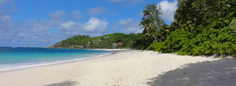 easy buy seychelles 768x280