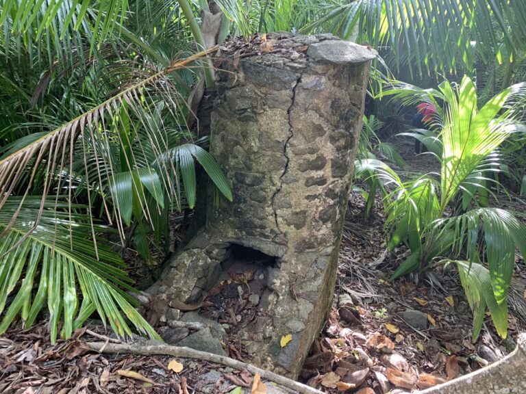 echo rent a car 768x576