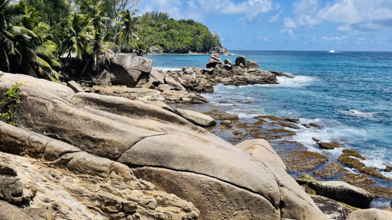 Profile eco schools seychelles 768x432
