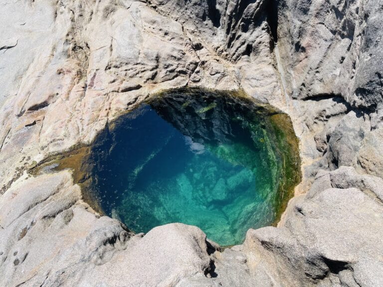 economic freedom initiative seychelles efiseychelles 768x576