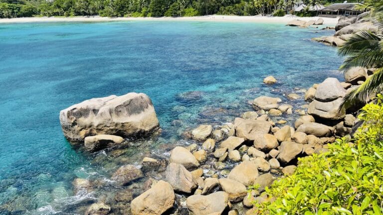 economy seychelles 768x432