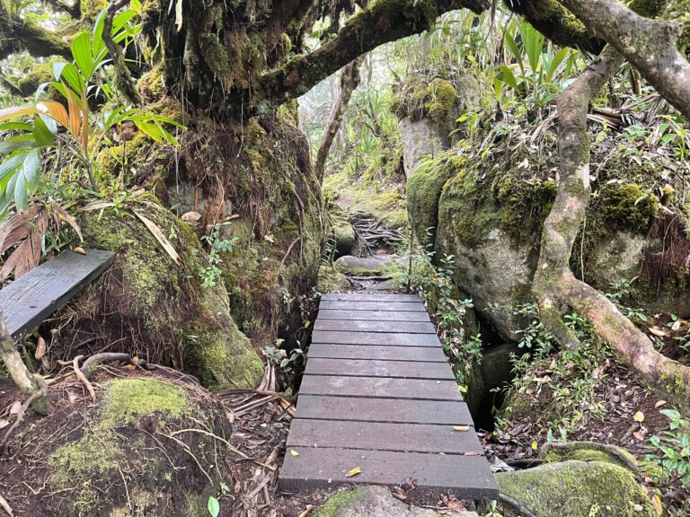 eden bleu hotel seychelles limited 768x576