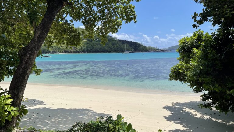 eden hills residence 768x432