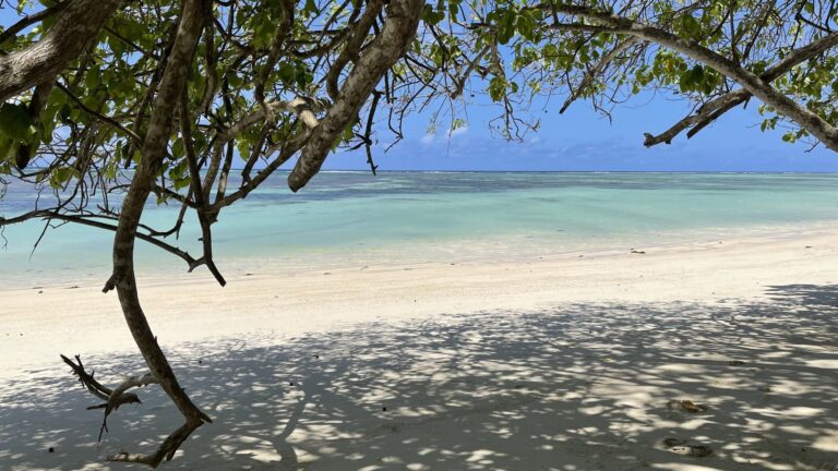 eden holistic spa limited 768x432