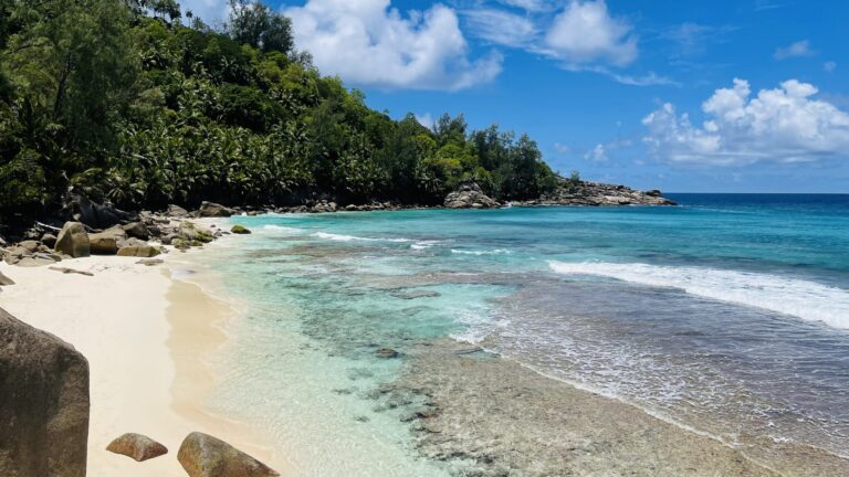 eden restaurant bravo 768x432