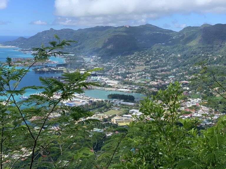 eds electrical lighting 768x576