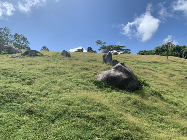 ehw seychelles limited 768x576