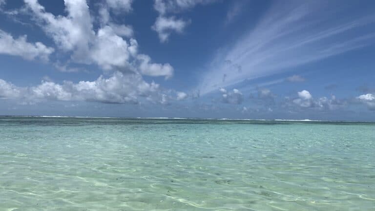 ELDOM (SEYCHELLES) eldom seychelles 768x432