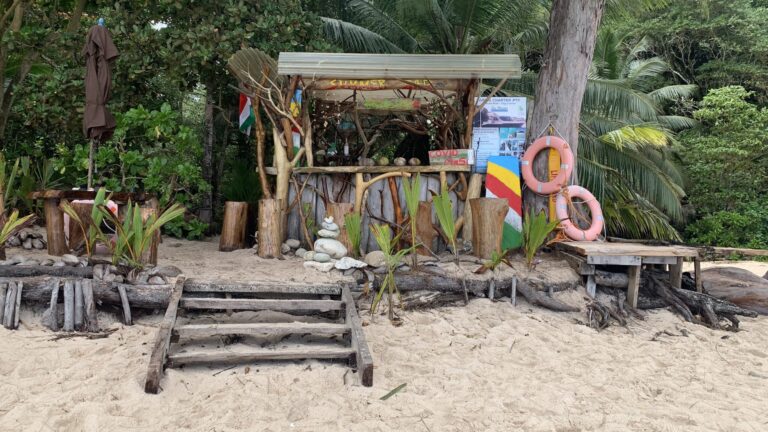 electric solutions 768x432