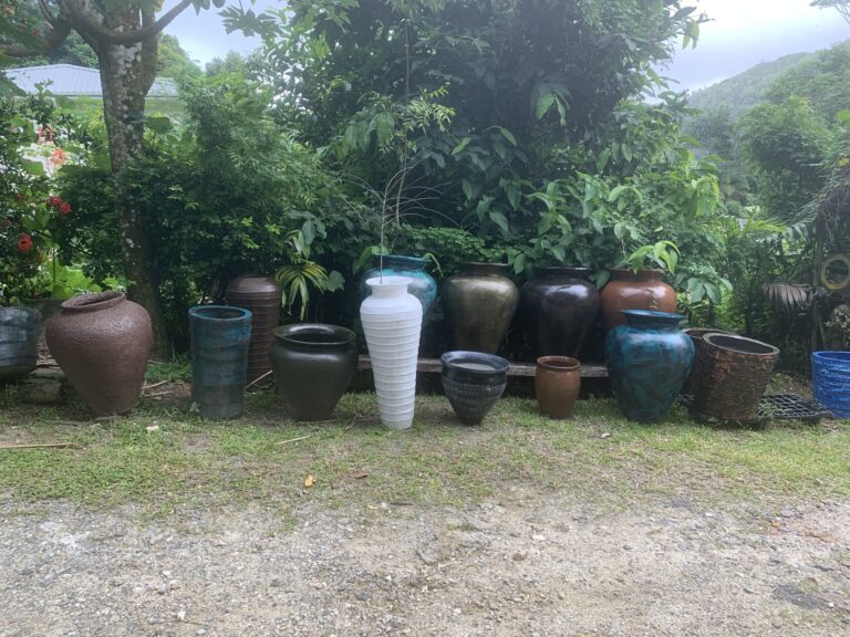 embassy of the peoples republic of china 768x576