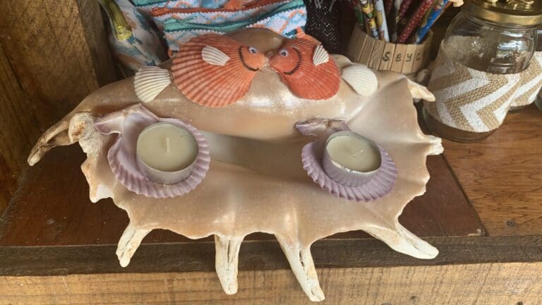 endless summer 768x432