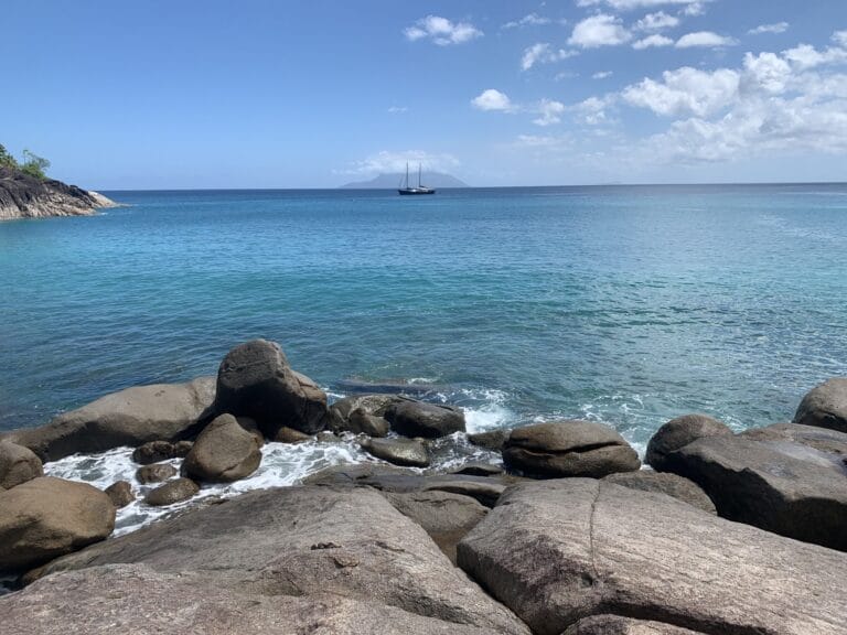 environmental education association of seychelles eeas 768x576