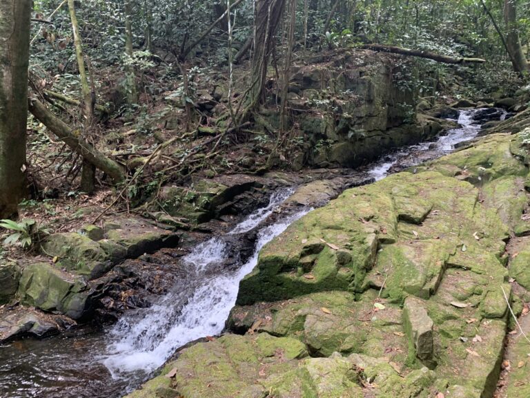 equiti brokerage limited 768x576