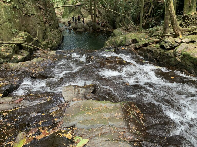 ericas residence 768x576