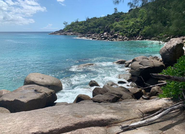 euro aviation limited 768x556