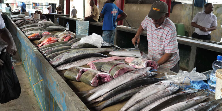 every home for christ seychelles ehcs 768x384