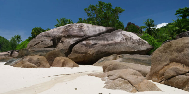 exotic guest house 768x384