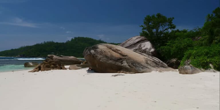 exotic spirit 768x384