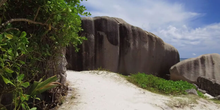 eye care centre 768x384