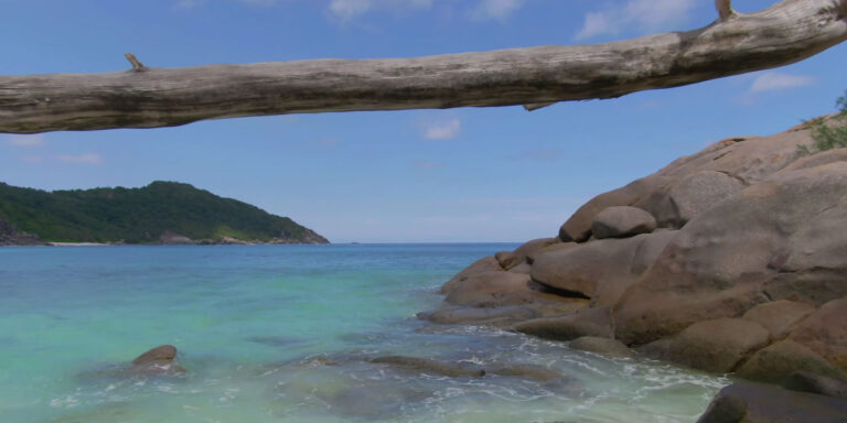 ezy garage pty limited 768x384