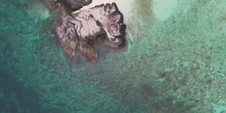 fady francourt 768x384