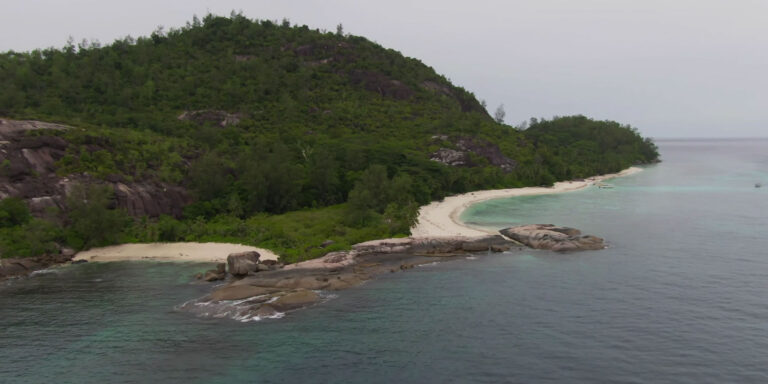 fair trading commission seychelles 768x384