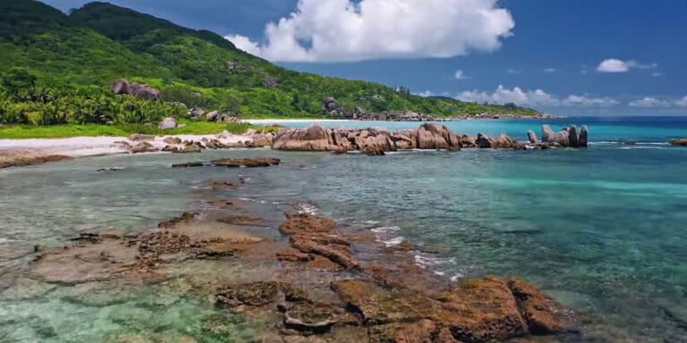 fd 2 xtreme designs fernando dalida 768x384