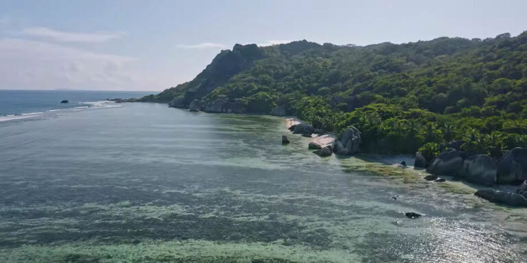 federation of employers association of seychelles 768x384