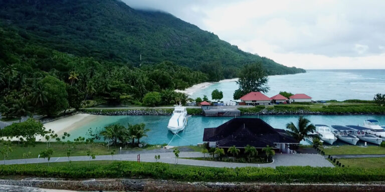 fern designs proprietary limited 768x384