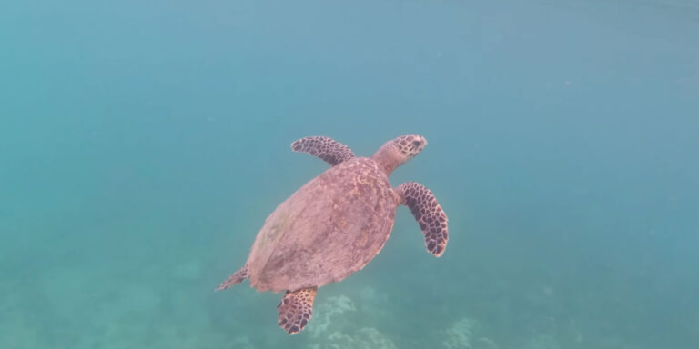 Fidelity Insurance Brokers (Pty) Ltd fidelity insurance brokers pty ltd 768x384