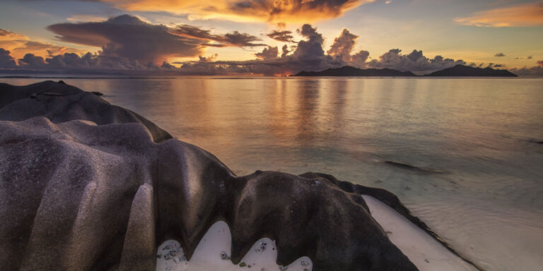 first choice realty pty ltd 768x384