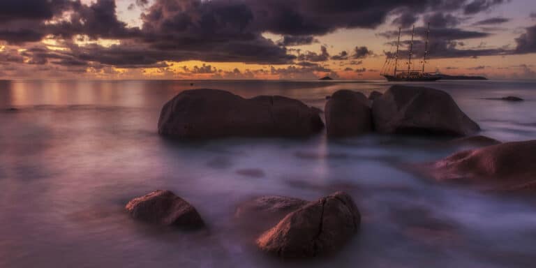 first services f s s 768x384