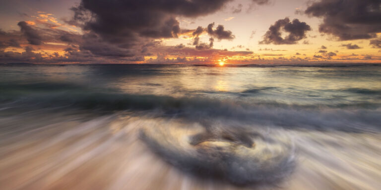 fish leather industries limited 768x384