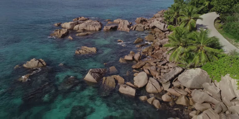 fish oh seychelles 768x384