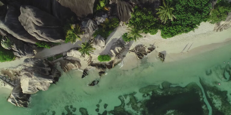 fish trap restaurant proprietary limited 768x384