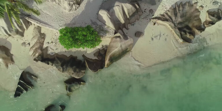 fishing club seychelles 768x384