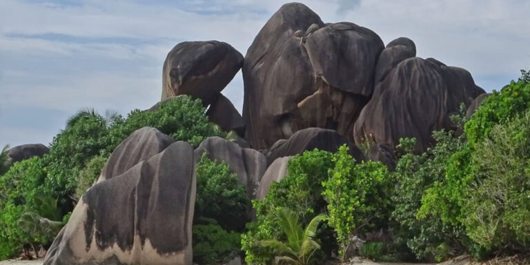 flying fish pty ltd 768x384